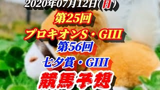 第25回 プロキオンS(GIII) 第56回 七夕賞(GIII)【予想動画】～2020年07月12日(日)～