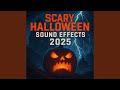 Terrifying Werewolf in Asylum Noise