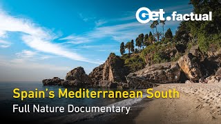 Spain's Mediterranean South | Wild Spain | Full Nature Documentary