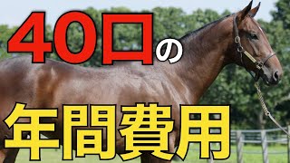 【夢の40口】サンデーレーシングは1年間でいくらかかる？計算したら半端なかった。【一口馬主】