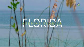 Keeping Florida, Florida: Nature provides climate resilience and vital habitat in Collier County
