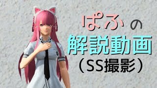 PSO2　SS撮影　解説動画　『SSを撮ってみよう！』