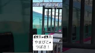 ダイヤ改正で誕生🐣！E5系+E3系のやまびこ+つばさ‼️