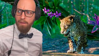 Zookeeper Johnni Får En Jaguar... Som bryder ud... hjælp plz