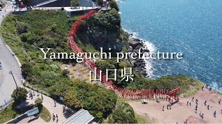 山口縣一間怎麼投都投不進香油錢的神社 | CNN日本31大美景之一 元乃隅稻成神社, 角島大橋 |