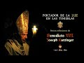 Reflexiones sobre el sufrimiento [Breves de Benedicto XVI]