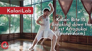 Kalari Bite 15 - Breaking down the First Arrapukai (Water form) by Kalarilab