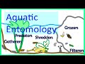 Introduction to Aquatic Entomology: Functional Feeding Groups