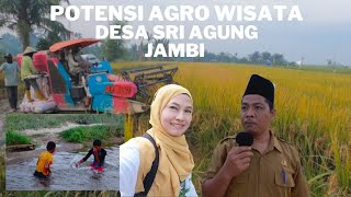 Potensi Agrowisata Sri Agung-Tanjabar Jambi