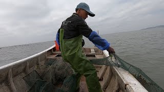 海里的陷阱许久未收，阿雄今天前来一网打尽，抓到好货留给小孩吃