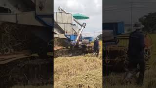 ម៉ាស៊ីនច្រូតស្រូវថៃeocombine harvester thailand pe2 #shorts