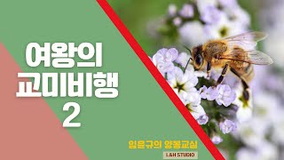 여왕벌의 교미비행2