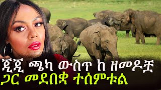 Ethiopia | ሰበር - እንኳን ደስ አላችሁ አሸባሪዋ ጂጂ ኪያ ጫካ ውስጥ ከ ዘመዶቿ ጋር መደበቋ ታውቋል | | gege kiya | Biruk Tv