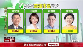 綠營茶壺風暴再起？ 林岱樺涉貪遭搜索　外界掀「政治清算說」