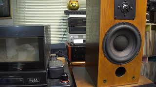 lungyim~VINTAGE PROAC SPEAKERS STUDIO 1