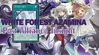 [NEW] WHITE FOREST deck Jan.2024 | Post Alliance Insight