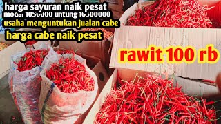 jarga cabe rawit hari ini naik#sayuran #usahamenjanjikan juala cabe14 jan 2025