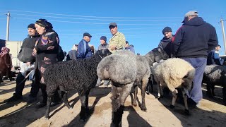 ХОРАЗМ БОГОТ БОЗОР КУЙ КУЧКАР НАРХЛАРИ 03.04.24.Г