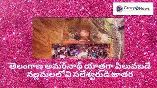 Saleshwaram Lingamayya Swamy తెలంగాణ అమర్‌నాథ్‌ యాత్రగా పిలువబడే నల్లమలలోని సలేశ్వరుడి జాతర|CEN.