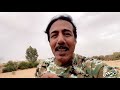 صيد حمام القمري في المغرب مراكش 2022 بندقية شوزن اخر شهر8 من ابو سعد 🇰🇼 🇲🇦 pigeon shooting