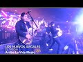 Los Nuevos Ilegales - El Tapón (En Vivo 2019)