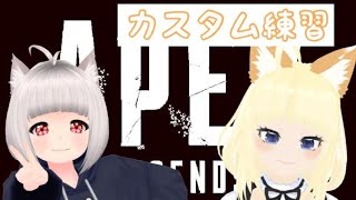 【APEX/コラボ】痛ちゃんとカスタム練習するよ！【紺乃いなり/vtuber】