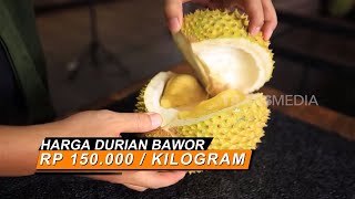 [FULL] INOVASI USAHA MERAUP LABA | CUAN BOSS (16/11/24)