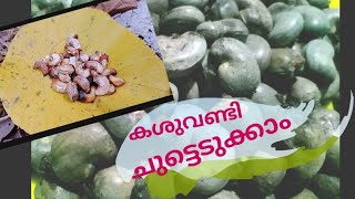 24.കശുവണ്ടി ചുട്ടു തിന്നാലോ.... 😊 Traditional style of cashew nut roasting