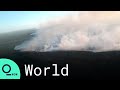 Fires in Argentina Burn 330,000 Acres of Wetlands, Native Forests