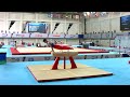 danek jonas cze 2023 artistic junior worlds qualifications pommel horse