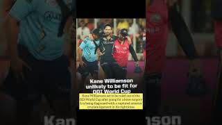 Kane Williamson is set to be out of ICC World Cup 2023 due to knee injury #kanewilliamson #shorts