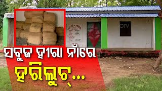 OTV Exposes The Story Of Corruption By Arrested Patnagarh DFO