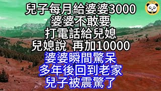 兒子每月給婆婆3000，婆婆不敢要，打電話給兒媳，兒媳說，再加10000，婆婆瞬間驚呆，多年後回到老家，兒子被震驚了#中老年幸福人生#美麗人生#幸福生活#幸福人生#中老年生活#為人處世#生活