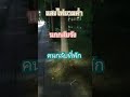 แสงไฟยามค่ำคืนนี้22 10 2567