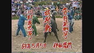 昭和の名場面集　昭和63年5月5日　伊仙場所