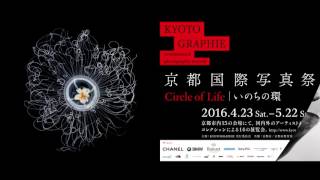 KYOTOGRAPHIE 2016 京都駅デジタルサイネージ用映像