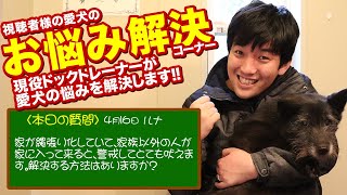 【愛犬のお悩み解決コーナー】家が縄張り化していて、家族以外の人が家に入って来ると、警戒してとても吠えます。解決する方法はありますか？