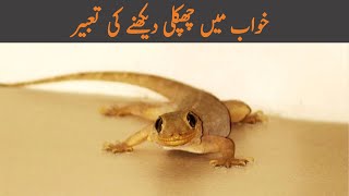 Khwab mein chipkali dekhna | khwab mein chipkali dekhne ki tabeer | lizard dream meaning