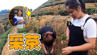 小胖和青妹妹爬海拔800多米茶山，第一次体验采茶，还讲究三叶一心【青妹妹与小胖】