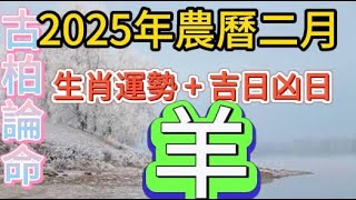 【古柏論命每月運勢+吉日凶日】2025年農曆2月(陽曆2025年2/28 ~ 3/29)生肖運勢分享 -  羊