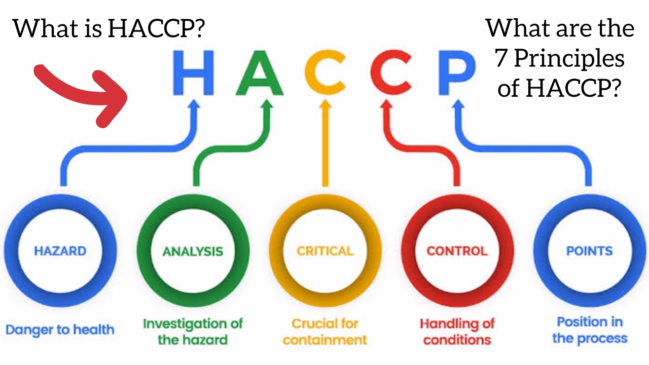 What Is HACCP? | What Are The 7 Principles Of HACCP | Explained - YouTube