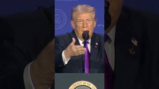 Trump Praises Tulsi Gabbard for Georgia Elections FBI Raid