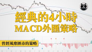 經典MACD四小時策略回顧：Phillip Nel的方法論，外匯交易必學 | 老貓與指標