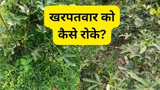 How to suppress weeds? | खरपतवार फॉर कैसे रोकें?