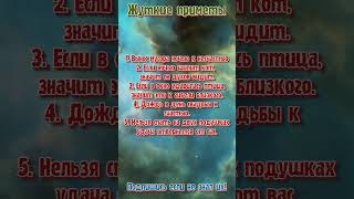 Жуткие приметы которые нужно знать  ooibtydarum  #знакизодиака #астрология #astrology