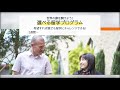 webオープンスクール 発展キャリアコース紹介動画