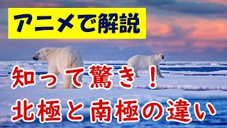 【アニメで解説】知って驚き！　北極と南極の違い