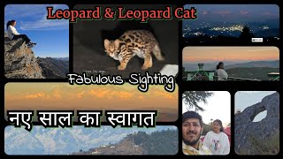 तेंदुआ बिल्ली #2025 पहाड़ों की खूबसूरती|| Leopard \u0026 Leopard Cat Sighting #youtube #popular #yt #vlog