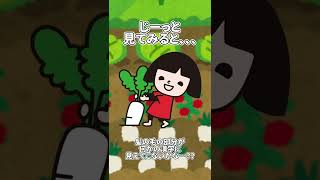 「みんなのよい食プロジェクト」って知ってるかな？🍉🍅 #shorts