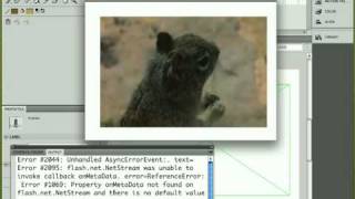 Flash Video via Actionscript 3